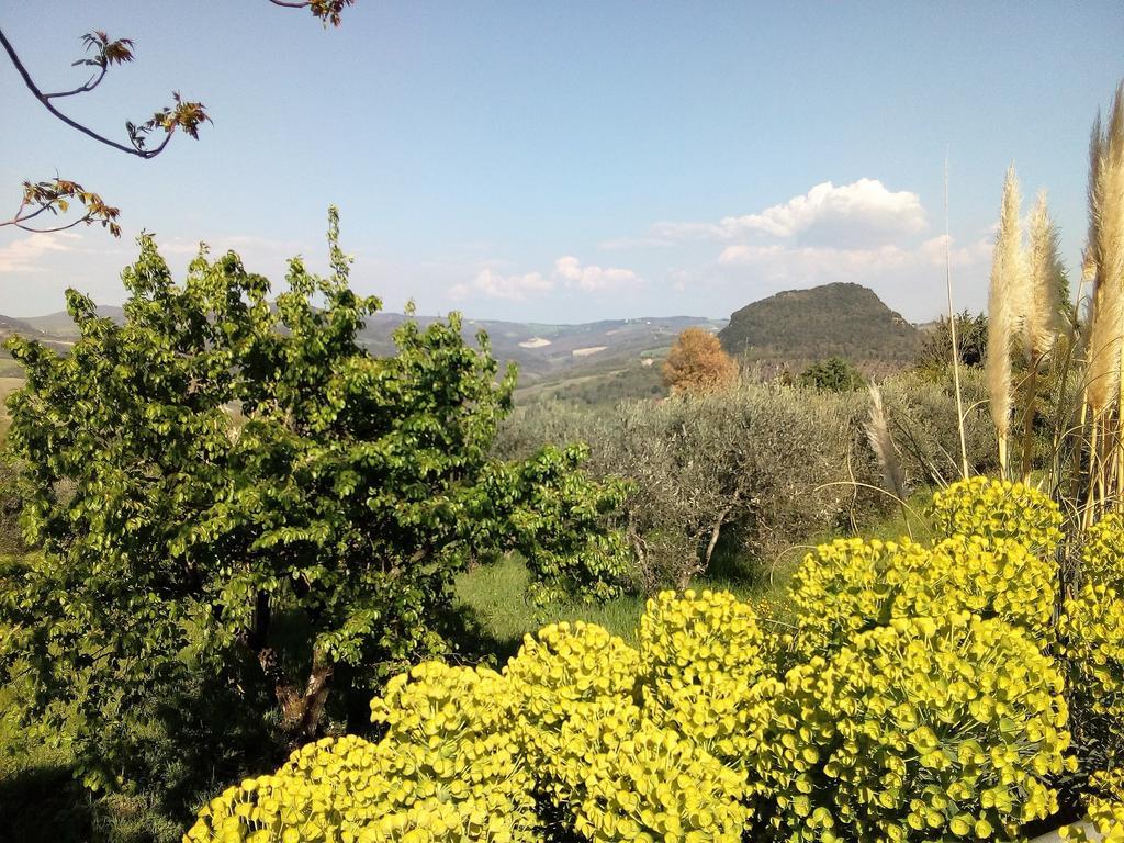 Villa Il Palazzino Volterra Luaran gambar